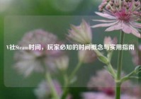 V社Steam时间，玩家必知的时间概念与实用指南