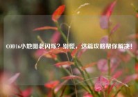 COD16小地图老闪烁？别慌，这篇攻略帮你解决！