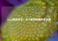 Steam绝地求生，从下载到吃鸡的全攻略