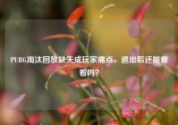 PUBG淘汰回放缺失成玩家痛点，退出后还能查看吗？