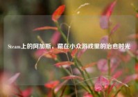 Steam上的阿加斯，藏在小众游戏里的治愈时光
