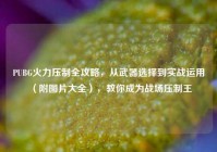 PUBG火力压制全攻略，从武器选择到实战运用（附图片大全），教你成为战场压制王
