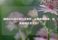端游PUBG段位划分全解析，从青铜到战神，你离巅峰还差几步？