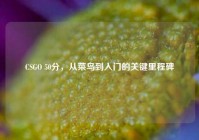 CSGO 50分，从菜鸟到入门的关键里程碑