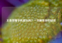 王者荣耀手机能玩吗？一文解答你的疑惑