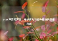PUBG声音降声器，守护听力与提升竞技的双重利器