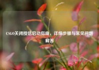 CSGO关闭授信启动指南，详细步骤与常见问题解答