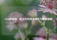CSGO武器箱，枪火中的战术锋芒与精神图腾