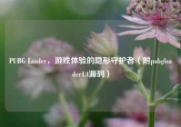 PUBG Loader，游戏体验的隐形守护者（附pubgloader4.4源码）