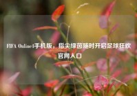 FIFA Online4手机版，指尖绿茵随时开启足球狂欢 官网入口