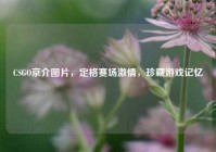 CSGO京介图片，定格赛场激情，珍藏游戏记忆