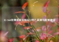 E5 2660处理器能流畅玩CF吗？实测与配置建议