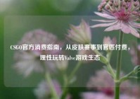 CSGO官方消费指南，从皮肤赛事到官匹付费，理性玩转Valve游戏生态