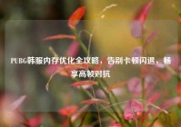 PUBG韩服内存优化全攻略，告别卡顿闪退，畅享高帧对抗