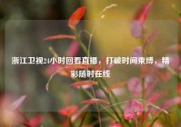 浙江卫视24小时回看直播，打破时间束缚，精彩随时在线