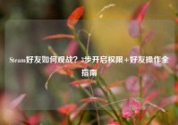 Steam好友如何观战？3步开启权限+好友操作全指南