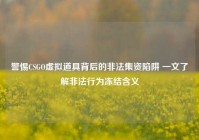 警惕CSGO虚拟道具背后的非法集资陷阱 一文了解非法行为冻结含义