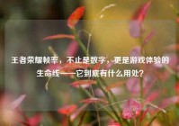 王者荣耀帧率，不止是数字，更是游戏体验的生命线——它到底有什么用处？