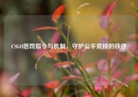 CSGO惩罚指令与机制，守护公平竞技的铁律