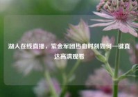 湖人在线直播，紫金军团热血时刻如何一键直达高清观看