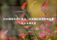PUBG稀有头饰大盘点，玩家疯狂追逐的身份象征及头饰大全