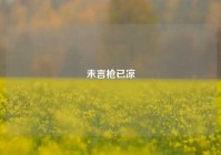 未言枪已凉