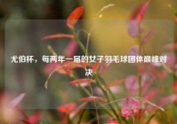 尤伯杯，每两年一届的女子羽毛球团体巅峰对决
