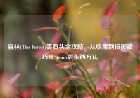 森林(The Forest)丢石头全攻略，从收集到投掷技巧及Steam丢东西方法