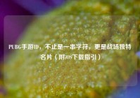 PUBG手游ID，不止是一串字符，更是战场独特名片（附iOS下载指引）
