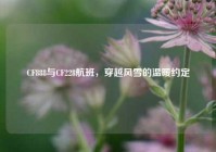 CF888与CF228航班，穿越风雪的温暖约定