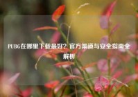 PUBG在哪里下载最好？官方渠道与安全指南全解析
