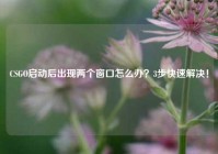 CSGO启动后出现两个窗口怎么办？3步快速解决！