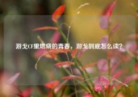 游戈CF里燃烧的青春，游戈到底怎么读？