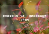 和平精英带小孩上飞机，一场跨越屏幕的亲子飞行视频