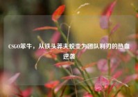 CSGO笨牛，从铁头莽夫蜕变为团队利刃的热血逆袭