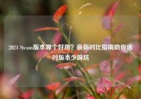 2024 Steam版本哪个好用？最新对比指南助你选对版本少踩坑
