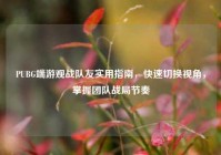 PUBG端游观战队友实用指南，快速切换视角，掌握团队战局节奏