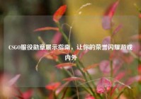 CSGO服役勋章展示指南，让你的荣誉闪耀游戏内外