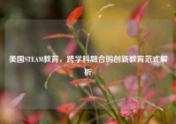 美国STEAM教育，跨学科融合的创新教育范式解析