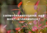 王者荣耀小号突然被清空引玩家哭诉，皮肤英雄全没了，官方回应及解决办法来了