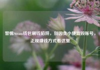 警惕Steam钱包刷钱陷阱，别因贪小便宜毁账号，正规赚钱方式看这里