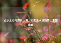 止水之心与逆战之勇，心如止水逆流而上主题图片
