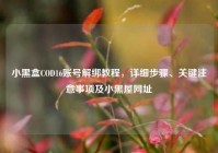 小黑盒COD16账号解绑教程，详细步骤、关键注意事项及小黑屋网址