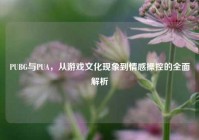PUBG与PUA，从游戏文化现象到情感操控的全面解析
