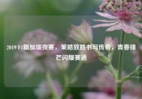 2019 F1新加坡夜赛，策略致胜书写传奇，青春锋芒闪耀赛道