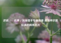 逆战鮟鱇名牌，深海猎手专属勋章 战场辨识度拉满的稀有名片
