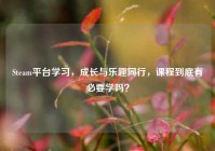 Steam平台学习，成长与乐趣同行，课程到底有必要学吗？