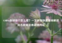 COD16全球排行怎么看？一文教你快速查询解读排名数据及查战绩网站
