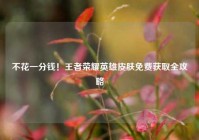 不花一分钱！王者荣耀英雄皮肤免费获取全攻略