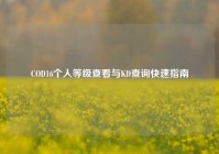 COD16个人等级查看与KD查询快速指南